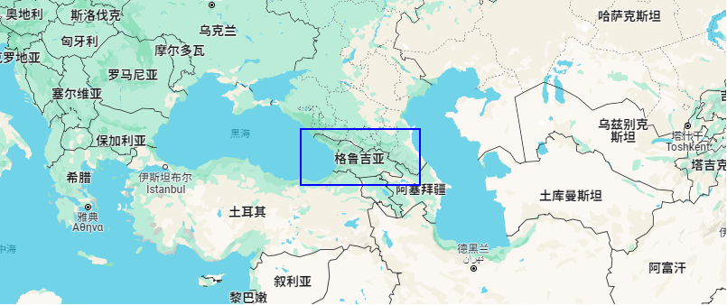 格魯吉亞各領域國際合作交流會議，公信榮幸助力其中